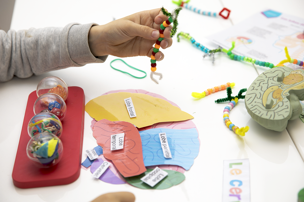 Enfant et apprentissage